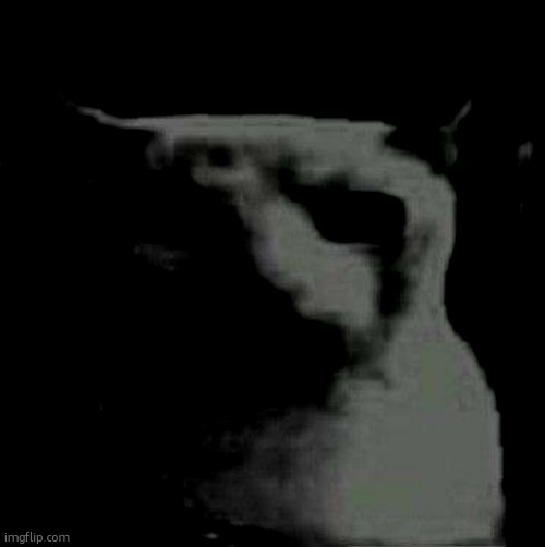 Uncanny Cat | image tagged in uncanny cat | made w/ Imgflip meme maker