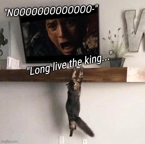 Fly you fools! | "NOOOOOOOOOOOOO-"; "Long live the king..." | image tagged in memes,lord of the rings,cats | made w/ Imgflip meme maker