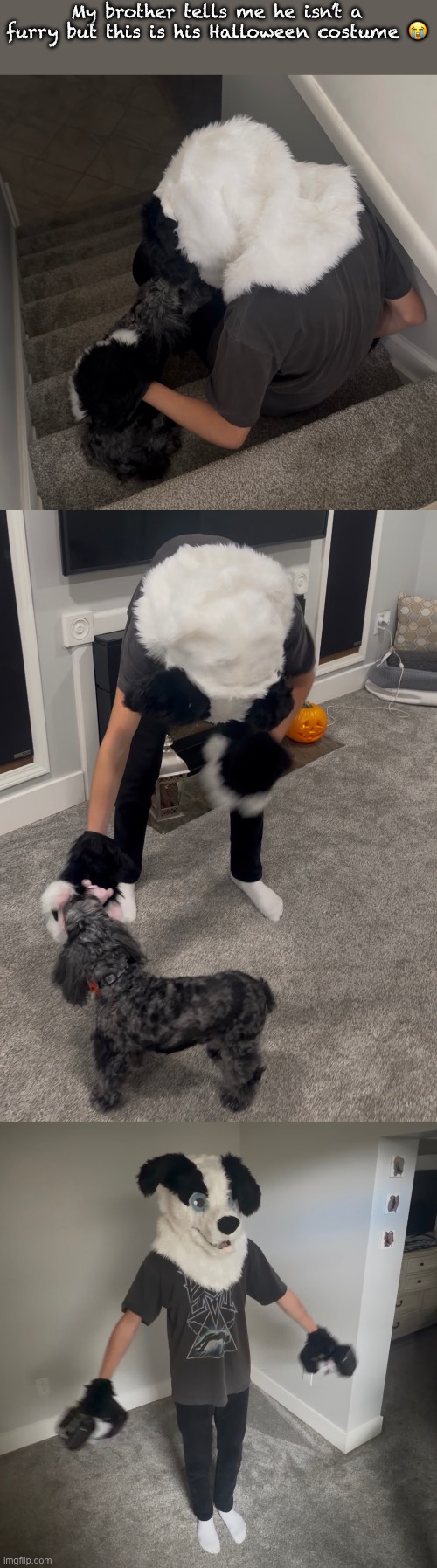My brother tells me he isn’t a furry but this is his Halloween costume 😭 | made w/ Imgflip meme maker