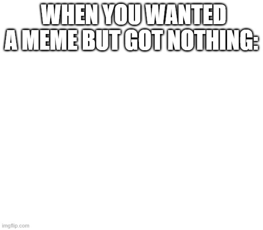 Nothing | WHEN YOU WANTED A MEME BUT GOT NOTHING: | image tagged in wow look nothing,nothing to see here | made w/ Imgflip meme maker