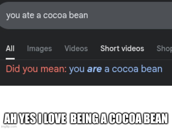 Cocoa beans are yummy(in chocolate) | AH YES I LOVE  BEING A COCOA BEAN | image tagged in beans,funny,google | made w/ Imgflip meme maker