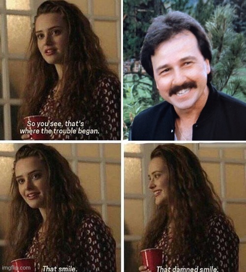 13 reasons why | image tagged in 13 reasons why,bruno kirby,city slickers | made w/ Imgflip meme maker