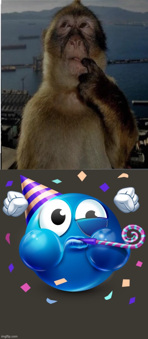 thinking monkey | image tagged in thinking monkey | made w/ Imgflip meme maker