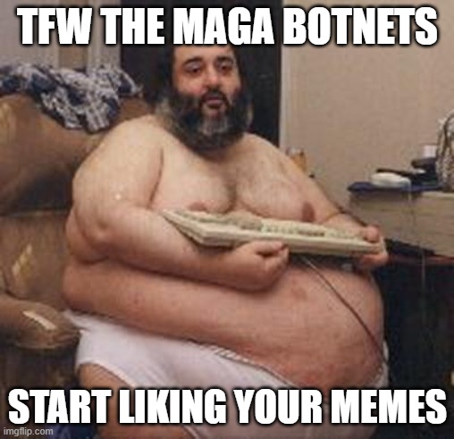 confident fat guy | TFW THE MAGA BOTNETS; START LIKING YOUR MEMES | image tagged in confident fat guy | made w/ Imgflip meme maker