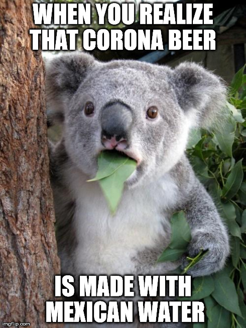 Surprised Koala | WHEN YOU REALIZE THAT CORONA BEER  IS MADE WITH MEXICAN WATER | image tagged in memes,surprised koala | made w/ Imgflip meme maker