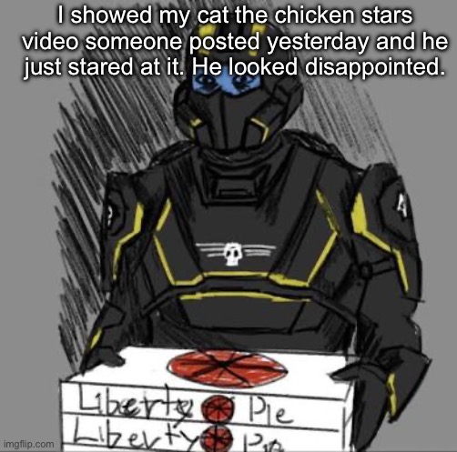He has seen humanity’s lowest point. | I showed my cat the chicken stars video someone posted yesterday and he just stared at it. He looked disappointed. | image tagged in liberty pie | made w/ Imgflip meme maker