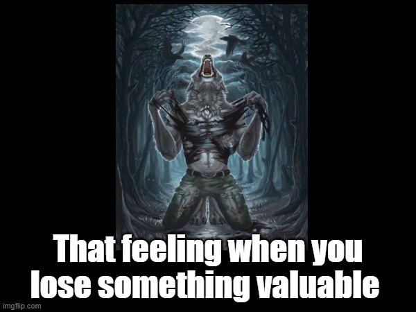 That feeling when you lose something valuable | image tagged in wolf | made w/ Imgflip meme maker