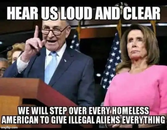 Unfortunately, their sheep follow | image tagged in unamericans,democrats,america last,illegals first,liberalism,wait that's illegal | made w/ Imgflip meme maker