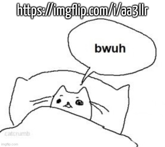 Bwuh | https://imgflip.com/i/aa3llr | image tagged in bwuh | made w/ Imgflip meme maker