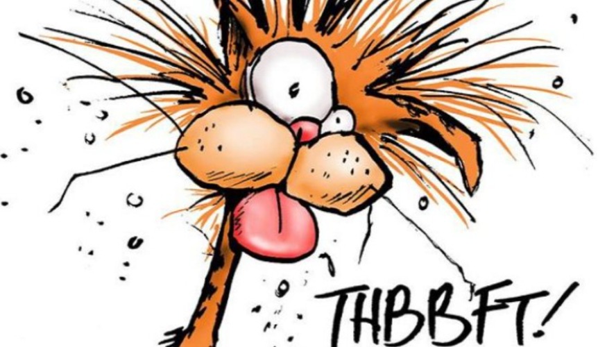 Oh whatever | image tagged in oh whatever | made w/ Imgflip meme maker