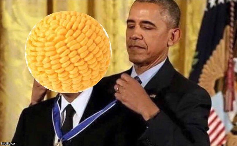 obama medal | image tagged in obama medal | made w/ Imgflip meme maker