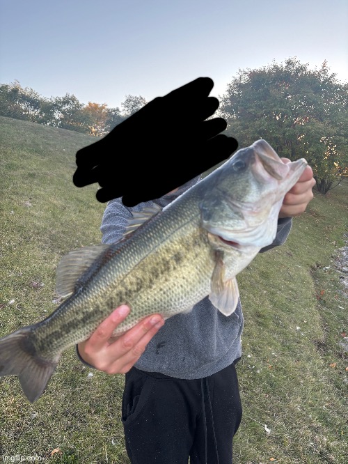 5poinds | made w/ Imgflip meme maker