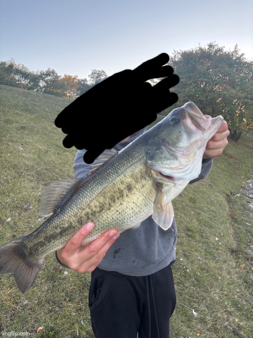 5 pounder | image tagged in fishing,hunting | made w/ Imgflip meme maker