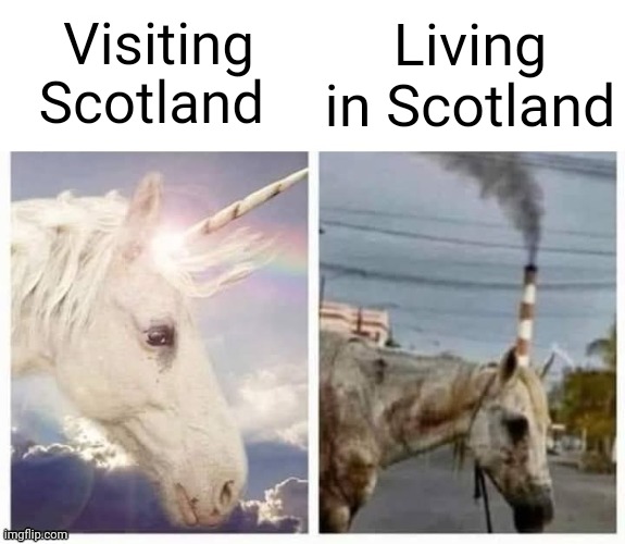 Itz kinda shite tbf | Living in Scotland; Visiting Scotland | image tagged in happy sad horse meme | made w/ Imgflip meme maker