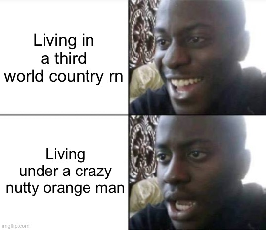 Well, except for ones that have war…fuck I think those are better than orange man’s laws… | Living in a third world country rn; Living under a crazy nutty orange man | image tagged in good then bad | made w/ Imgflip meme maker