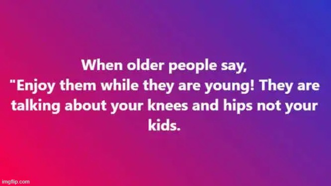 It Will Be Fun, They Said | image tagged in humor,old people,kids,adulting,lol | made w/ Imgflip meme maker