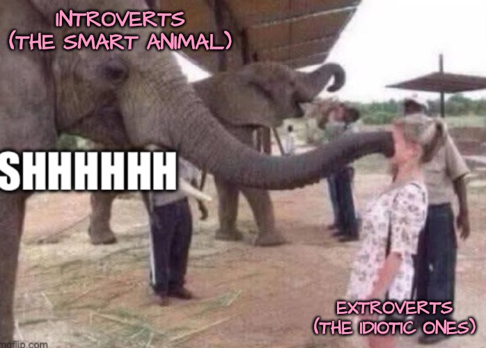 INTROVERTS (THE SMART ANIMAL) EXTROVERTS (THE IDIOTIC ONES) | made w/ Imgflip meme maker