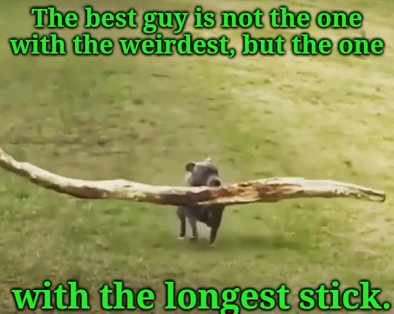 The best guy is not the one with the weirdest, but the one with the longest stick. | made w/ Imgflip meme maker