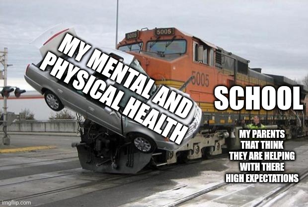 disaster train | MY MENTAL AND PHYSICAL HEALTH; SCHOOL; MY PARENTS THAT THINK THEY ARE HELPING WITH THERE HIGH EXPECTATIONS | image tagged in disaster train | made w/ Imgflip meme maker