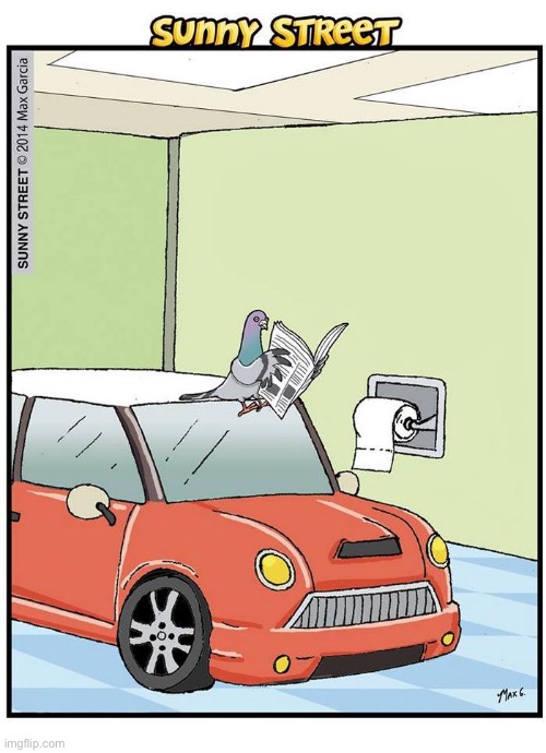 The bird version of reading on the toilet… | image tagged in repost,sunny street,comics,bird,car,toilet | made w/ Imgflip meme maker