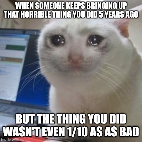 :) | WHEN SOMEONE KEEPS BRINGING UP THAT HORRIBLE THING YOU DID 5 YEARS AGO; BUT THE THING YOU DID WASN'T EVEN 1/10 AS AS BAD | image tagged in crying cat,memes,horrible,5 years | made w/ Imgflip meme maker