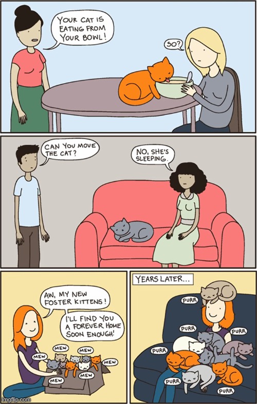 The many ways of the cat… | image tagged in cats,comics,behavior,sleep,eat,kittens | made w/ Imgflip meme maker