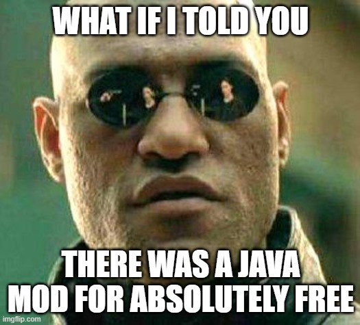 WHAT IF I TOLD YOU THERE WAS A JAVA MOD FOR ABSOLUTELY FREE | image tagged in what if i told you | made w/ Imgflip meme maker