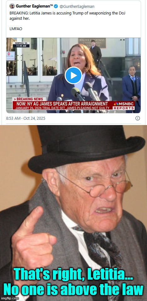 Oh the irony | That's right, Letitia... No one is above the law | image tagged in memes,letitia james,no one is above the law,oh the irony | made w/ Imgflip meme maker