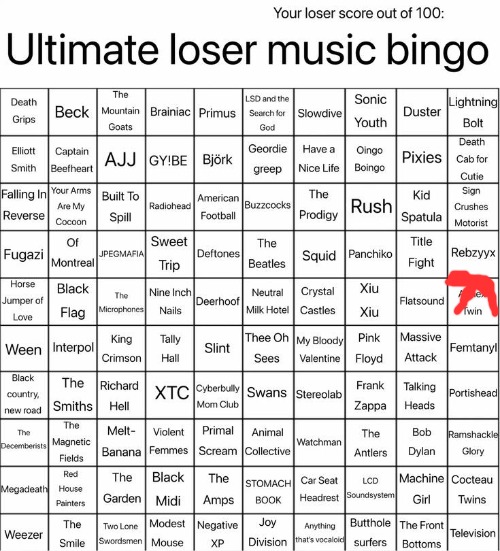 RAAGHHGGHH I FUCKING LOVE APHEX TWIN | image tagged in ultimate loser music bingo | made w/ Imgflip meme maker