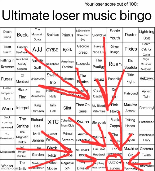 yo what the fuck is butthole surfers | image tagged in ultimate loser music bingo | made w/ Imgflip meme maker