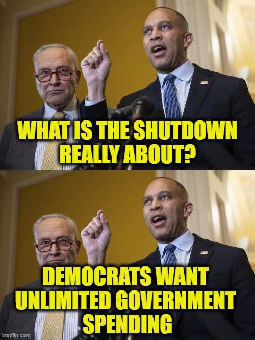 Show me the money! | WHAT IS THE SHUTDOWN
REALLY ABOUT? DEMOCRATS WANT 
UNLIMITED GOVERNMENT 
SPENDING | image tagged in democrats | made w/ Imgflip meme maker