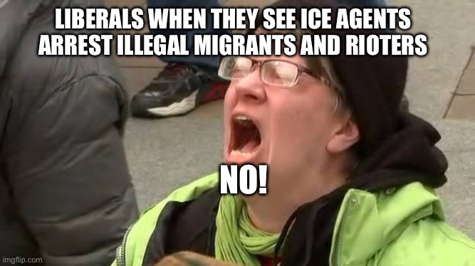 No!  Let my people go! | LIBERALS WHEN THEY SEE ICE AGENTS ARREST ILLEGAL MIGRANTS AND RIOTERS; NO! | image tagged in screaming trump protester at inauguration,illegal immigration,ice,california,liberals,liberal logic | made w/ Imgflip meme maker
