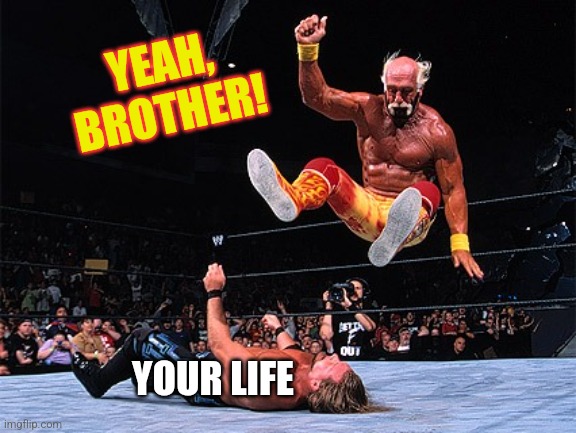 Yeah, brother! Hulk Hogan | YEAH, BROTHER! YOUR LIFE | image tagged in yeah brother hulk hogan | made w/ Imgflip meme maker