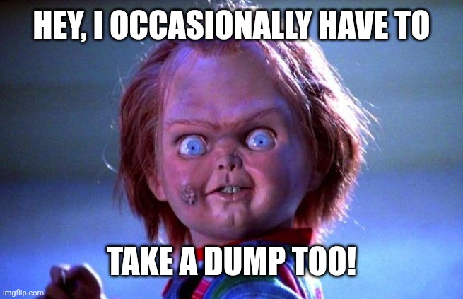 Chucky | HEY, I OCCASIONALLY HAVE TO TAKE A DUMP TOO! | image tagged in chucky | made w/ Imgflip meme maker