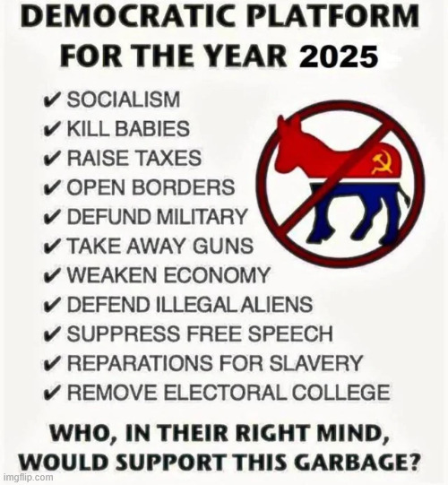 democrat platform 2025 | image tagged in democrat platform,2025 | made w/ Imgflip meme maker