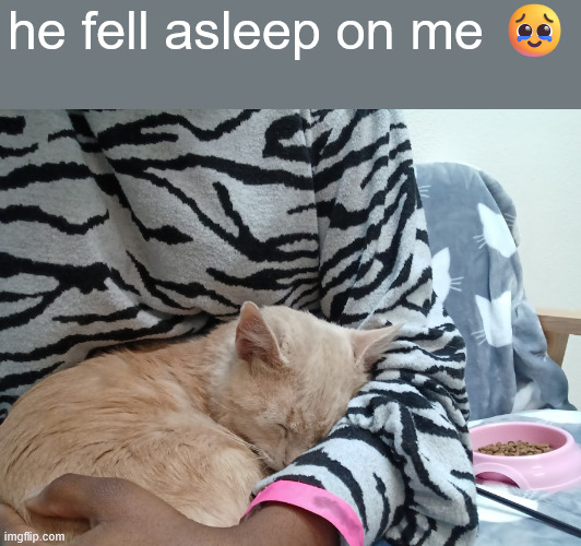 he fell asleep on me 🥹 | made w/ Imgflip meme maker