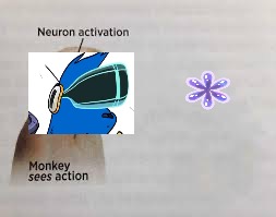 Neuron activation | image tagged in neuron activation | made w/ Imgflip meme maker