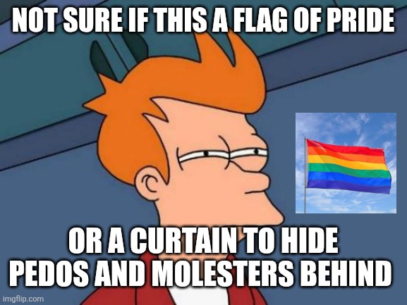 Futurama Fry | NOT SURE IF THIS A FLAG OF PRIDE; OR A CURTAIN TO HIDE PEDOS AND MOLESTERS BEHIND | image tagged in memes,futurama fry | made w/ Imgflip meme maker