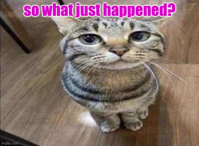 . | so what just happened? | made w/ Imgflip meme maker