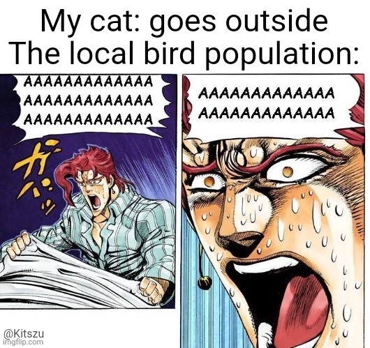 Chirping like mad | @Kitszu | image tagged in kakyoin,jojo's bizarre adventure,jojo,jojo meme | made w/ Imgflip meme maker