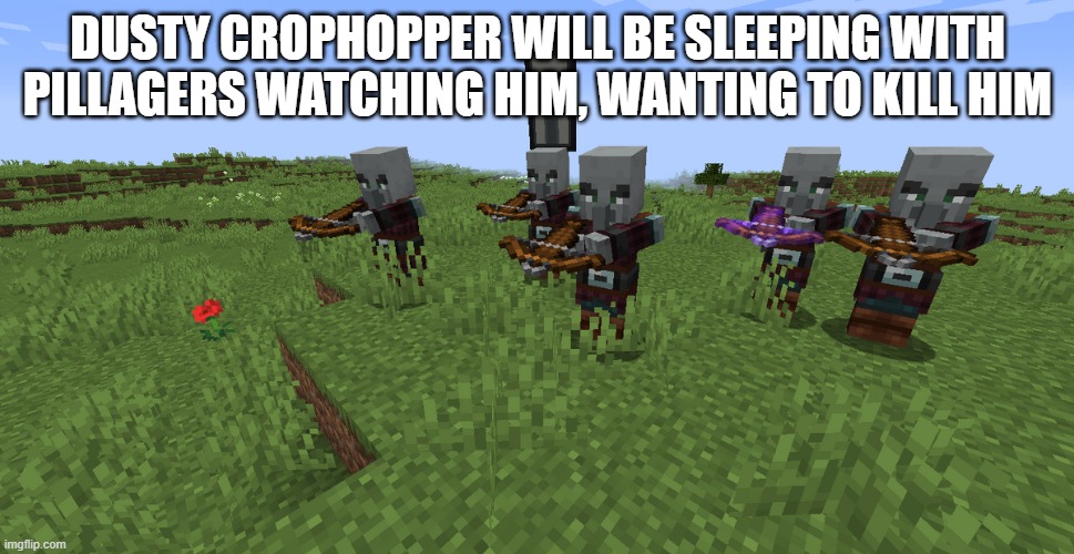 Pillager Patrol | DUSTY CROPHOPPER WILL BE SLEEPING WITH PILLAGERS WATCHING HIM, WANTING TO KILL HIM | image tagged in pillager patrol | made w/ Imgflip meme maker