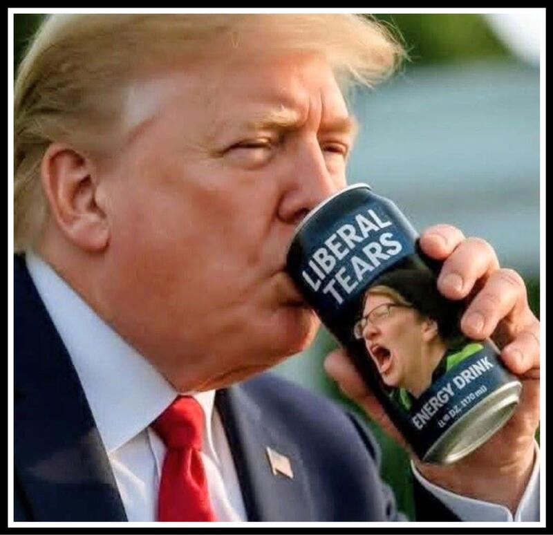 Liberal tears Blank Meme Template