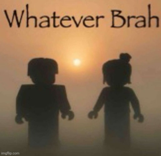 Seeing es and cheez delete isn't surprising anymore | image tagged in whatever brah | made w/ Imgflip meme maker