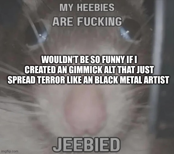 MY HEEBIES ARE FUCKING JEEBIED | WOULDN’T BE SO FUNNY IF I CREATED AN GIMMICK ALT THAT JUST SPREAD TERROR LIKE AN BLACK METAL ARTIST | image tagged in my heebies are fucking jeebied | made w/ Imgflip meme maker