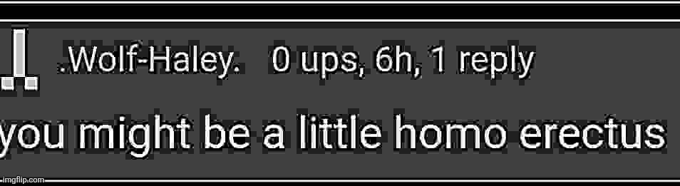 homo erectus | image tagged in homo erectus | made w/ Imgflip meme maker