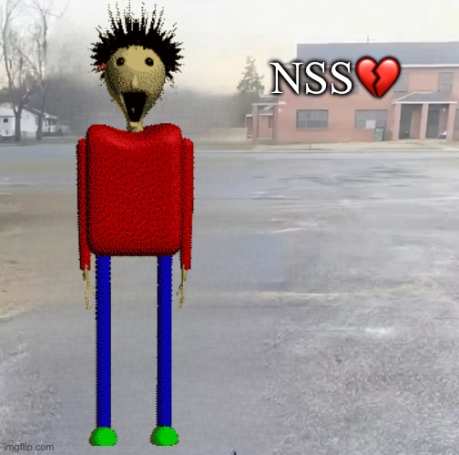 NSS Blank Meme Template