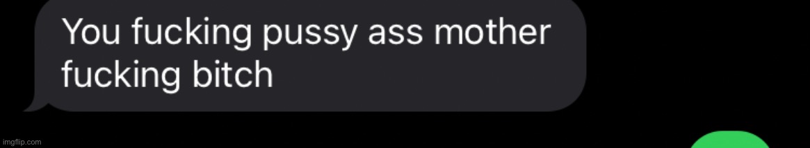 You fucking pussy ass motherfucking bitch | image tagged in you fucking pussy ass motherfucking bitch | made w/ Imgflip meme maker