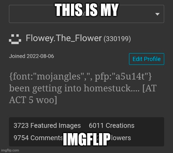 THIS IS MY; IMGFLIP | made w/ Imgflip meme maker
