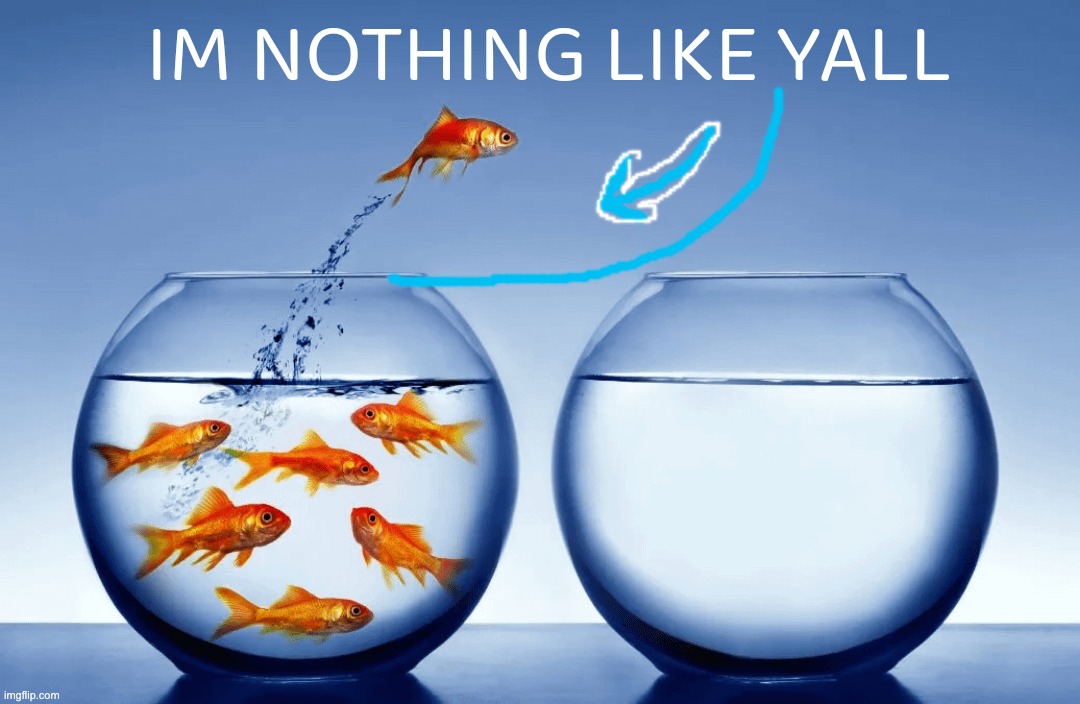 I’m nothin like yall | image tagged in i m nothin like yall | made w/ Imgflip meme maker