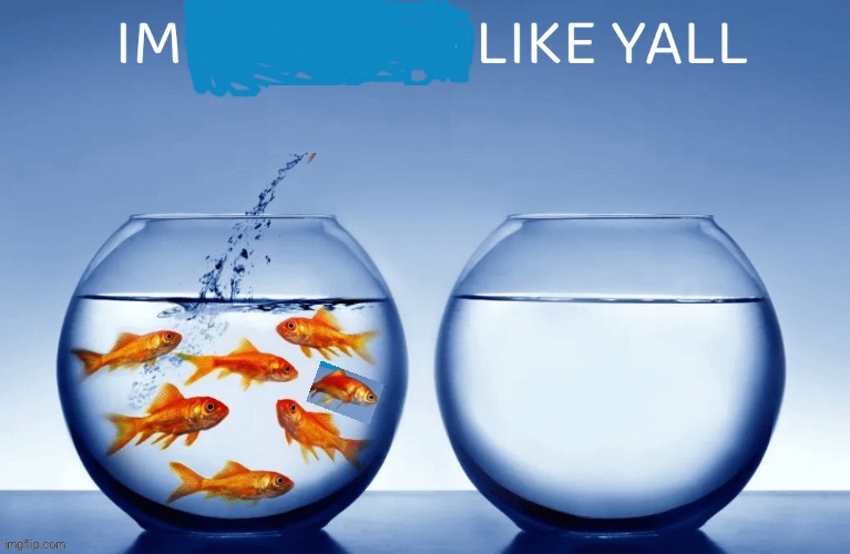 im like yall | image tagged in im like yall | made w/ Imgflip meme maker